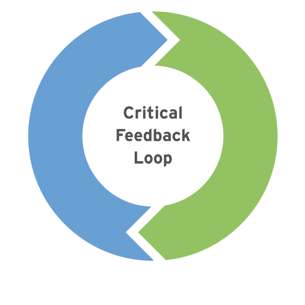 Verger Capital Management Process Critical Feedback Loop
